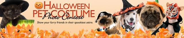 Halloween Pet Costume Photo Contest