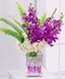 Cut Orchids
