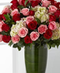 City Line's Luxury Collection