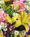 Floral Arrangements