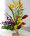 Exotic Flowers