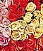 Roses 02/01-02/20