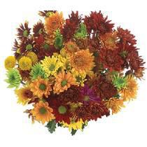 Fall Bouquet