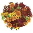 Fall Bouquet