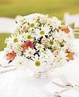Centerpiece- guest tables