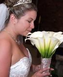 Calla cluster