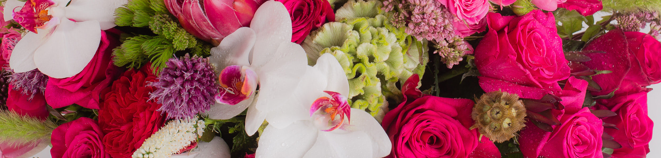 Close-up of a vibrant mixed floral arrangement featuring hot pink roses, white orchids, red carnations, green celosia, allium, and assorted premium blooms.