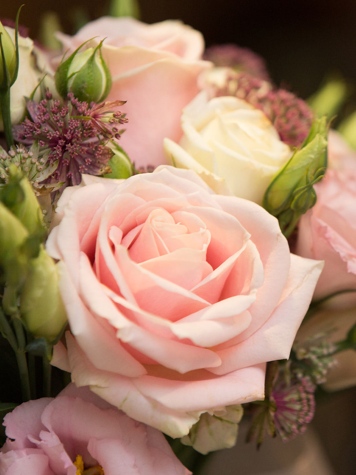 Close-up of a blush pink rose surrounded by white roses, lisianthus, and textured garden flowers
