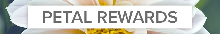 Earn Reward Points with City Line Florist
