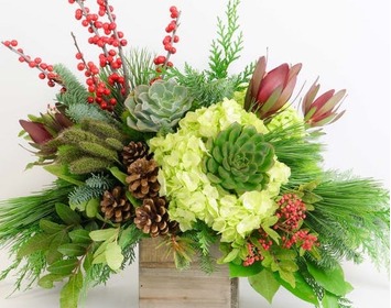 Christmas Flowers