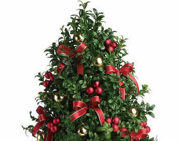 Wreaths & Boxwood Trees