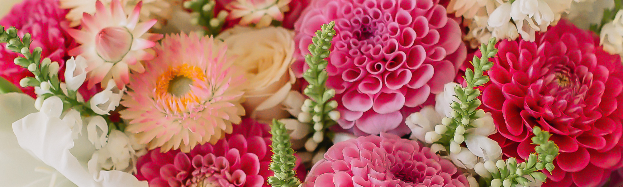 Shelton & Trumbull, CT Sameday Delivery Stratford, Bridgeport City