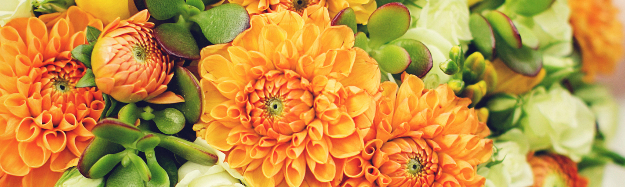 Shelton & Trumbull, CT Sameday Delivery Stratford, Bridgeport City