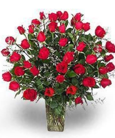 48 Roses - Select Color