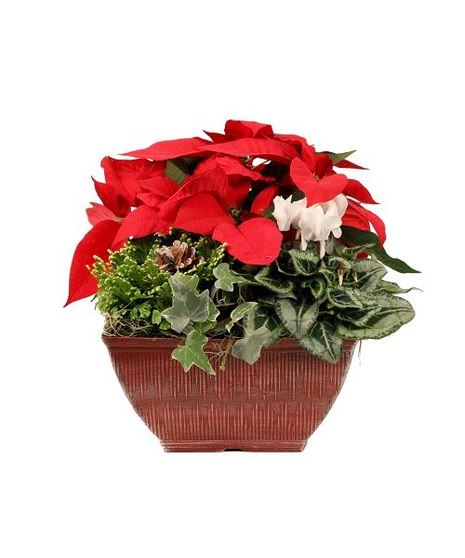 Christmas Vintage Planter