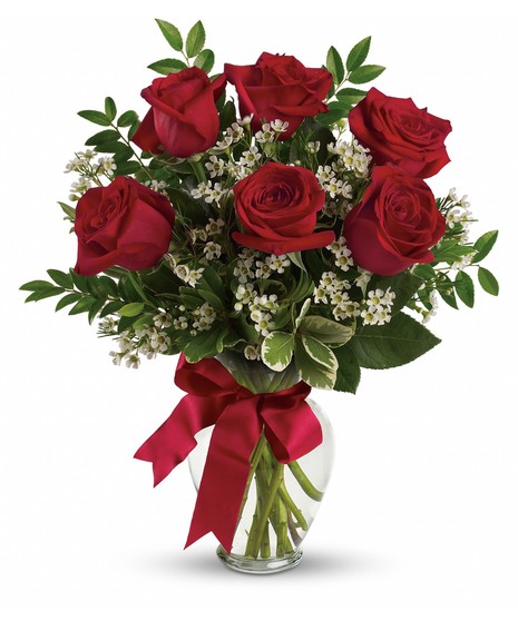 Half Dozen Roses - Select your color
