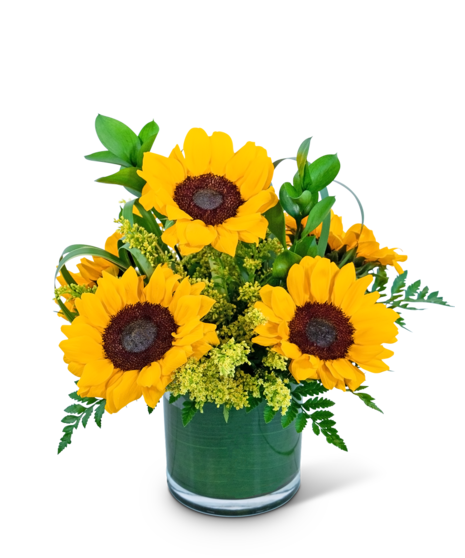 Sunshine Sunflowers