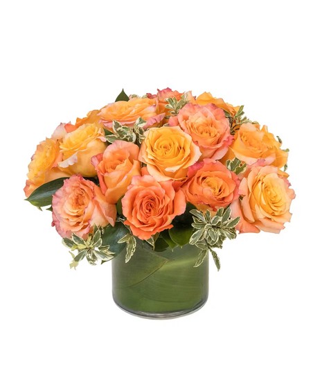 Free Spirit Roses in Cylinder