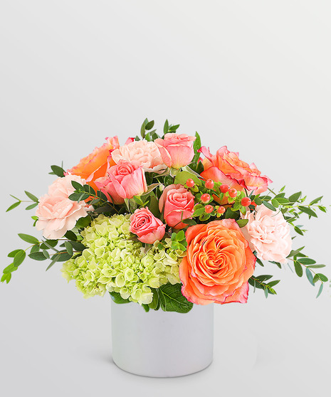 Malibu Magic Arrangement