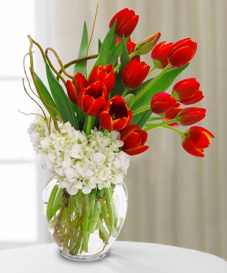 True Love's Tulips