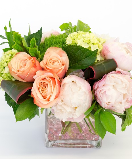 Peach Peony Passion