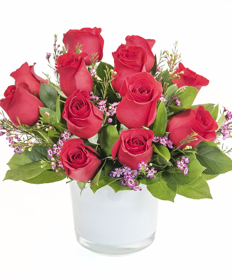 Romance Me
