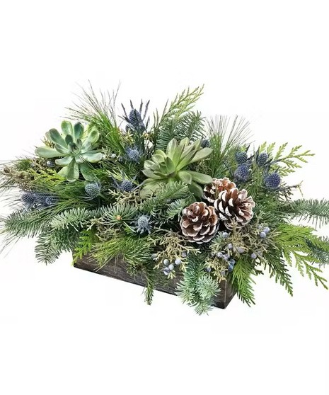 Succulent and Wintergreen Glow