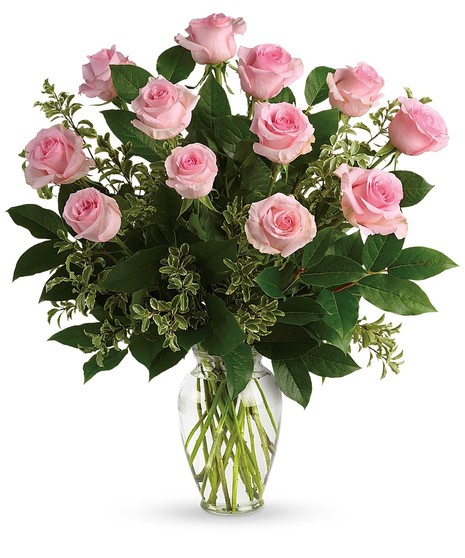 Pink Roses Trumbull & Bridgeport Connecticut