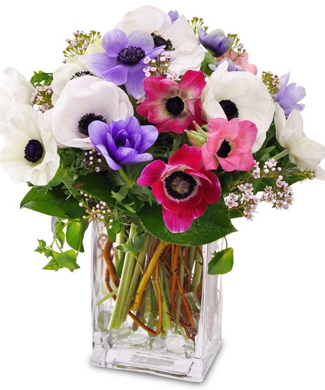 Blooms of Fairfield