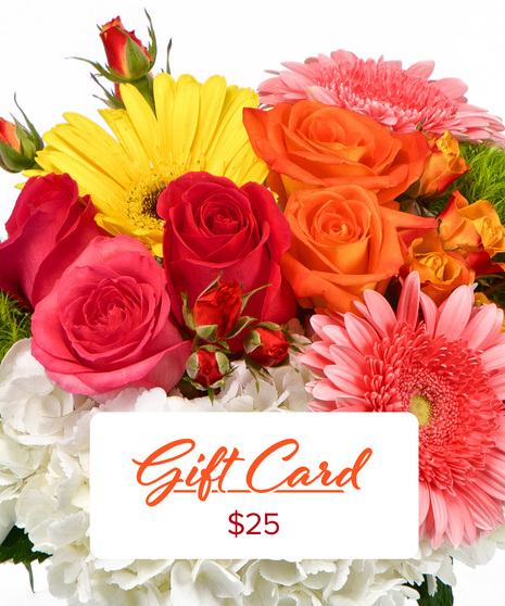 25$ Gift Card