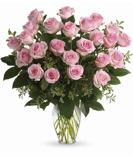 Pink Roses Trumbull & Bridgeport Connecticut
