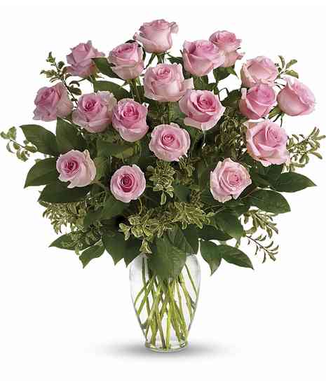 Pink Roses