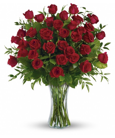 36 Roses - RED