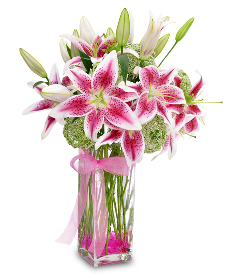 Lovely Lilies