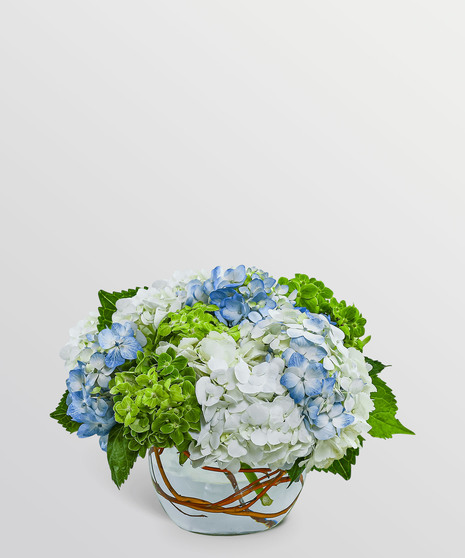 Dreamy Hydrangea
