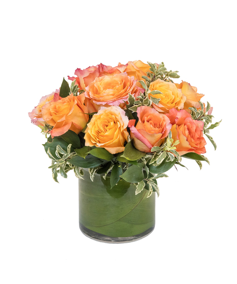 orange roses