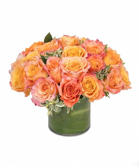 orange roses