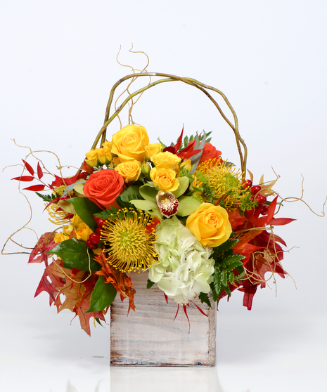 Autumn Luxury