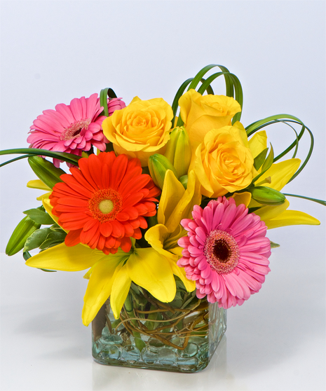 Bright & Stunning