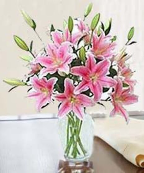 Enchanting Stargazer Lilies
