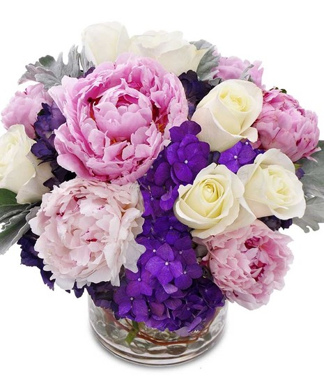 Peony Garden