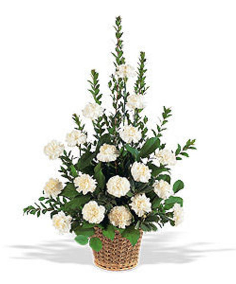 White Carnations