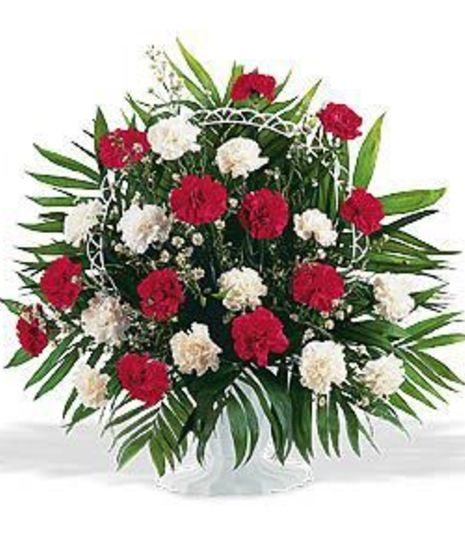 Red and White Carnations