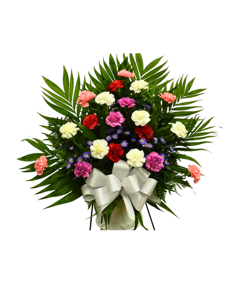 Carnation funeral basket