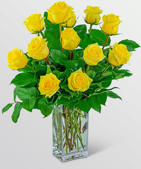 Yellow Roses
