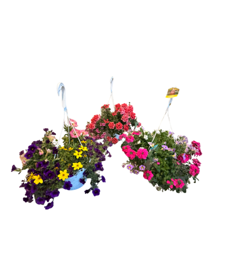 Flowering Plants