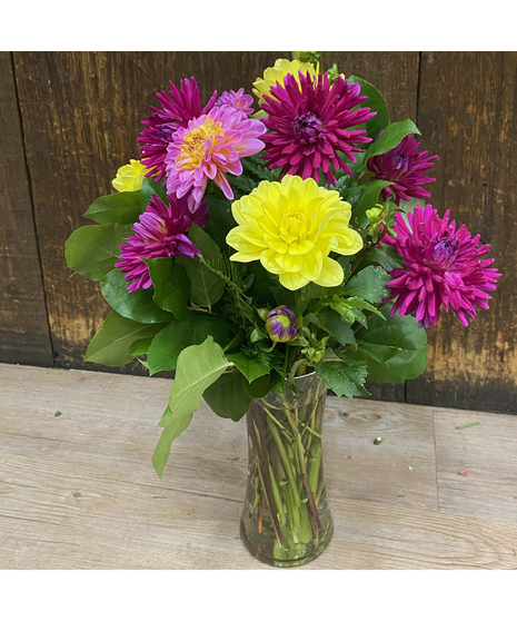 Dahlia Arrangement in Vase