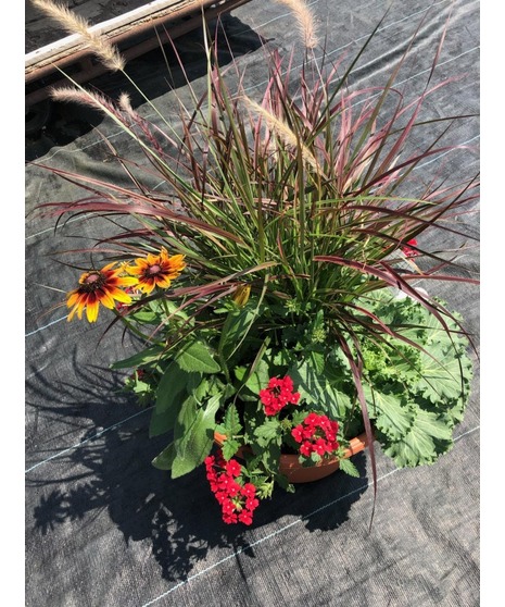 PATIO POT FALL MIX