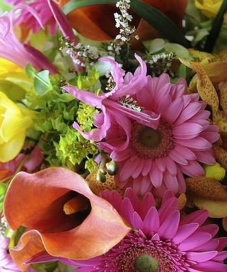 Cut Flowers in clear wrap