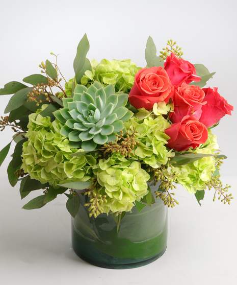 Succulent Sunset Bridgeport Connecticut - Same-day Delivery